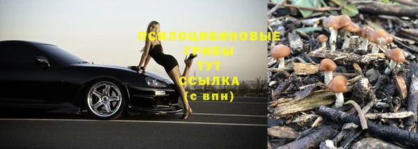 дурь Бородино