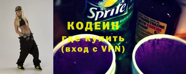 дурь Бородино