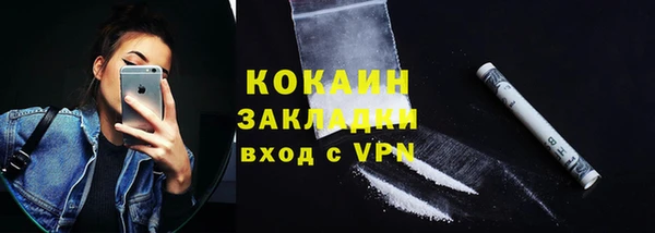 дурь Бородино