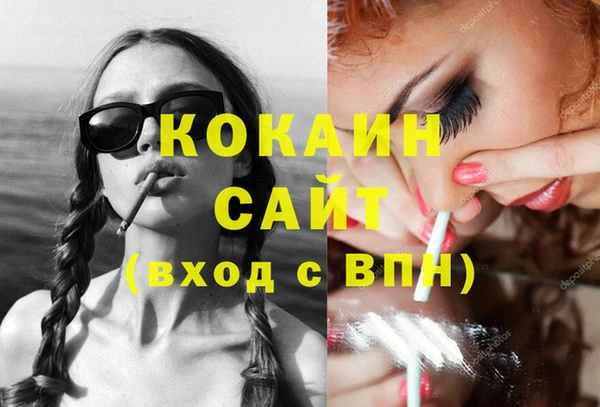 дурь Бородино
